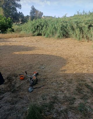 Limpieza y jardinería 