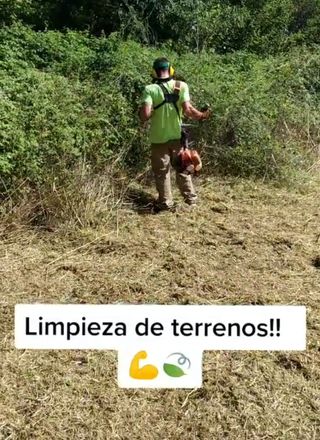 Limpieza y jardinería 