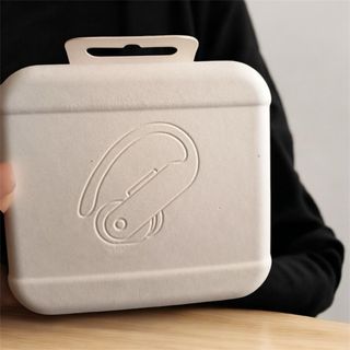 Beats Powerbeats Pro 2 