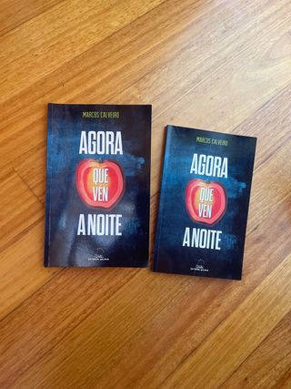 Agora que vén a noite