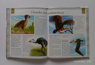 Dinosaurios y animales desaparecidos