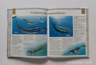 Dinosaurios y animales desaparecidos