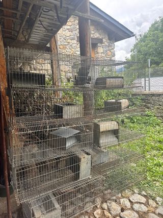 Jaulas conejos - 6 jaulas