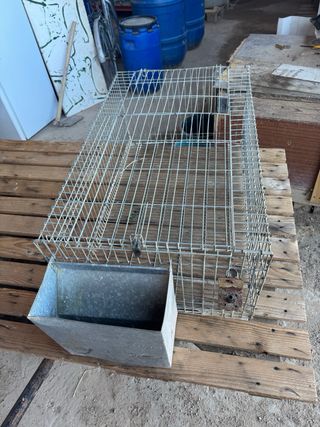 Jaulas conejos - 6 jaulas