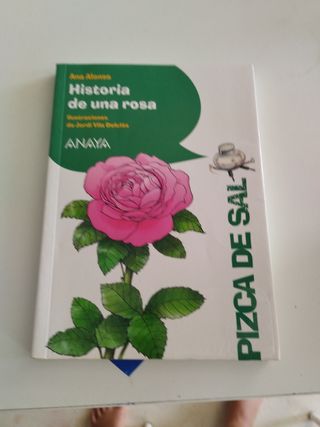 Historia de una rosa