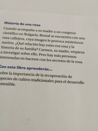 Historia de una rosa