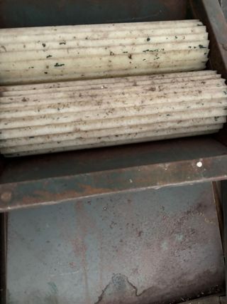 Pinzatrice per uva 