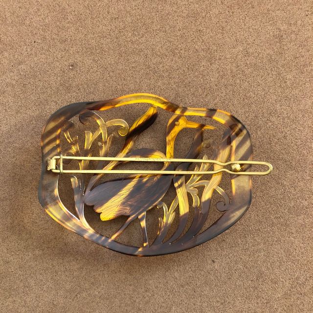 depose “blackbird”.