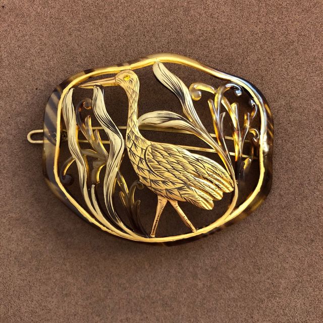 depose “blackbird”.