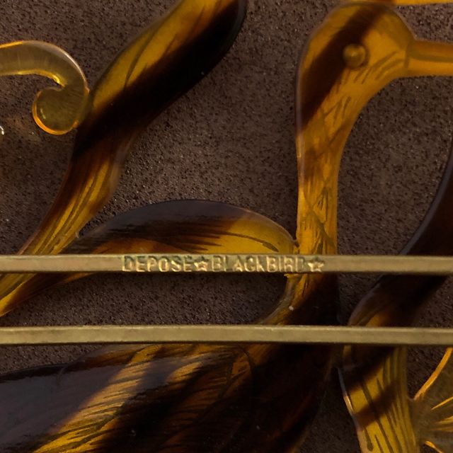 depose “blackbird”.