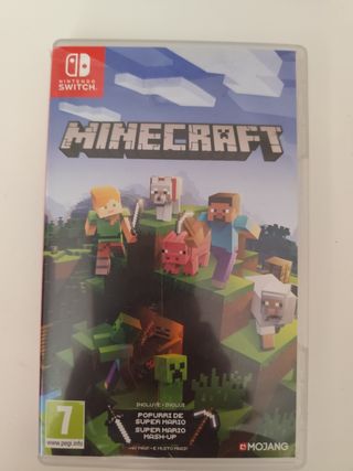 Minecraft Nintendo Switch