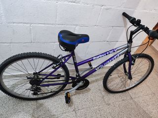 Bicicleta Vivanti Racing 126 V