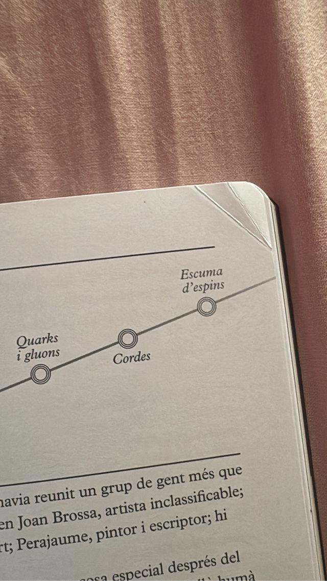 ELS 3 INFINITS: Un llibre de ciència per a gent...