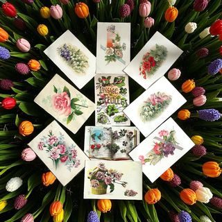 Cartoline antiche linguaggio fiori e foglie