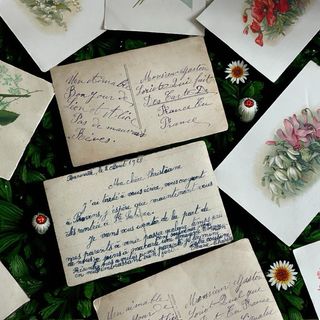 Cartoline antiche linguaggio fiori e foglie