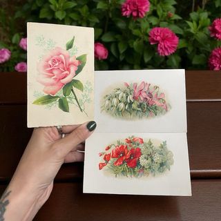 Cartoline antiche linguaggio fiori e foglie