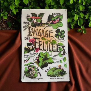 Cartoline antiche linguaggio fiori e foglie