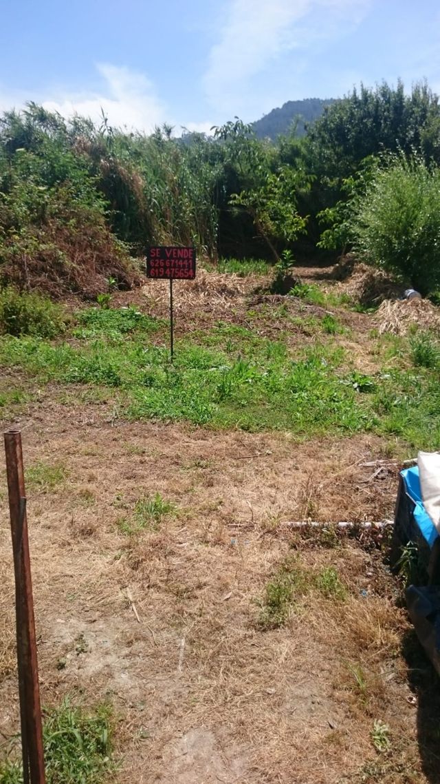 Terreno para cultivo