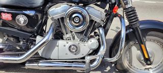 Harley Davidson 883 53c