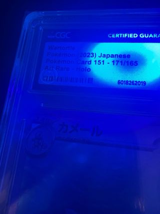 2023 Wartotle Art Rare Pristine 10
