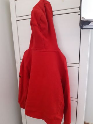 Sudadera Flash niño roja
Talla 7-8
