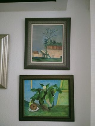 Spettacolari quadri dipinti ad olio.
