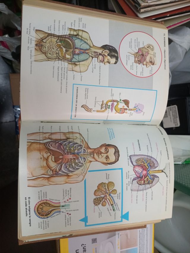 Años ochenta diccionario ilustrados sopena colecc