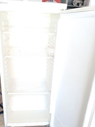 Nevera Bauknecht 140cm