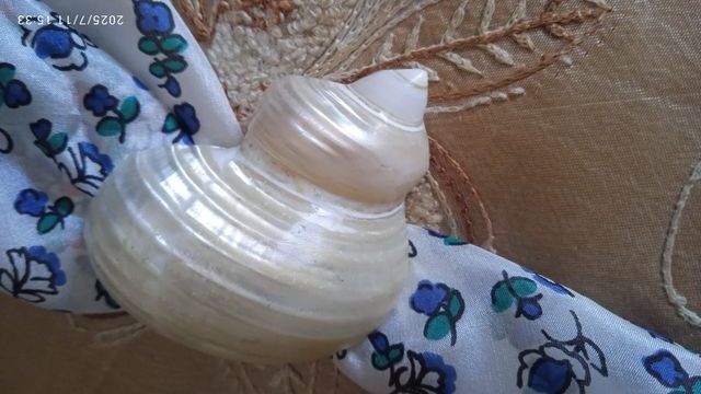 Fermafoulard conchiglia bianco/beige