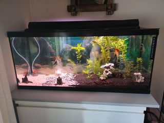 Venta de 3 Acuarios + Filtros y Accesorios