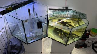 Venta de 3 Acuarios + Filtros y Accesorios