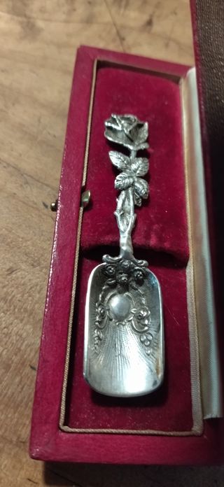Cucharilla plata colección