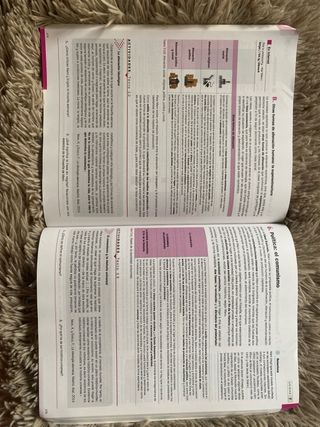 Historia de la Filosofía 2.º Bachillerato