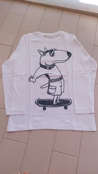 Camisolas menino 9/10 anos - Zara e Lefties