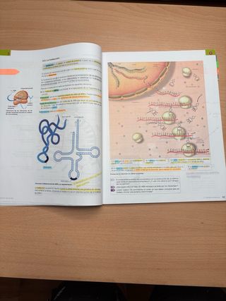 Inicia Biología y Geología 4.º ESO. Libro del a...