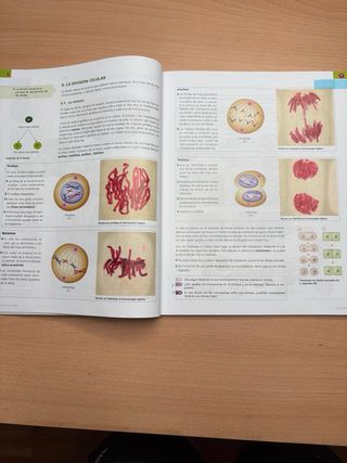 Inicia Biología y Geología 4.º ESO. Libro del a...