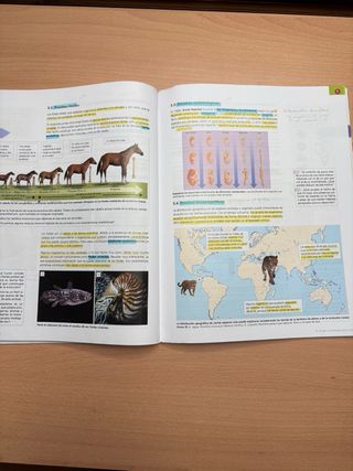 Inicia Biología y Geología 4.º ESO. Libro del a...