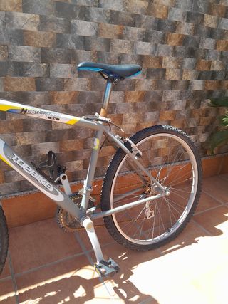 Bicicletas de montaña (adulto y niño)