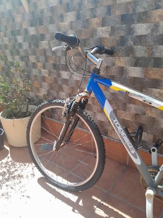 Bicicletas de montaña (adulto y niño)