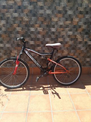 Bicicletas de montaña (adulto y niño)