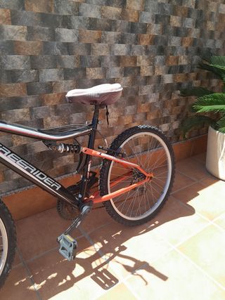 Bicicletas de montaña (adulto y niño)