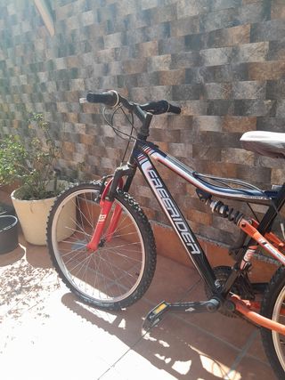 Bicicletas de montaña (adulto y niño)