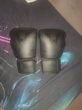 Guantes boxeo Langray + vendas