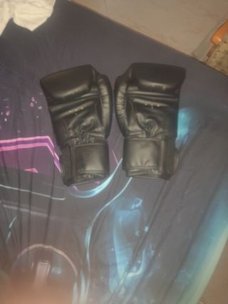 Guantes boxeo Langray + vendas