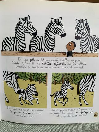 El Zoo (Catalan Edition)