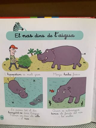 El Zoo (Catalan Edition)