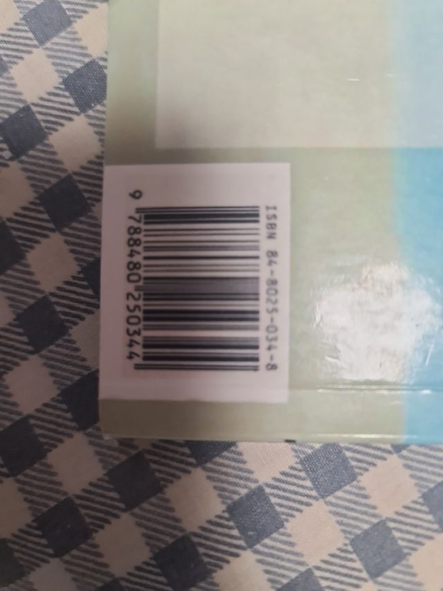 El guardia de l'anel