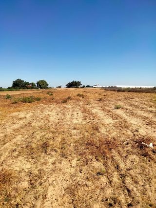 Parcela 5000m2 - Venta 
Zona la capitana
683299656