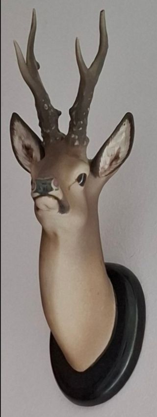 Cabeza de gamo y corzo de ceramica.