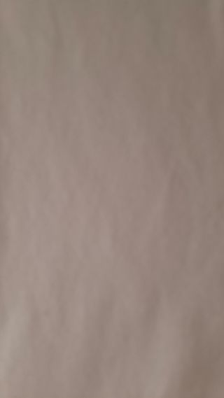 Top blanco Shein con encaje